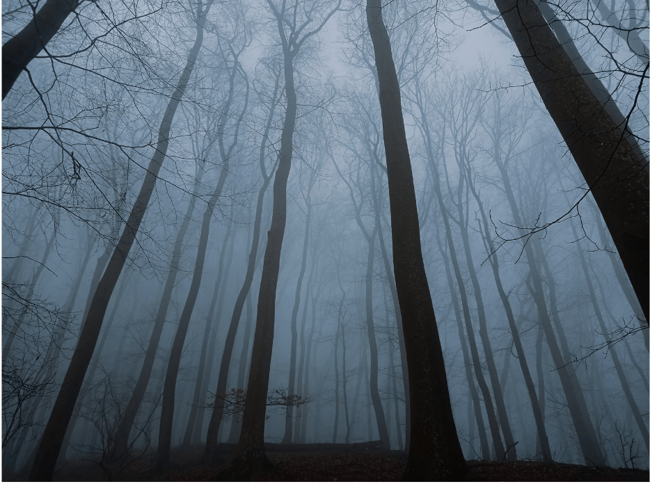 Living The Unrelenting&nbsp;Nightmare